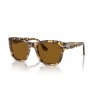 Persol PO3313S 105633