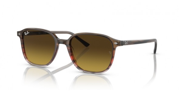 Ray-Ban Leonard RB2193 138085