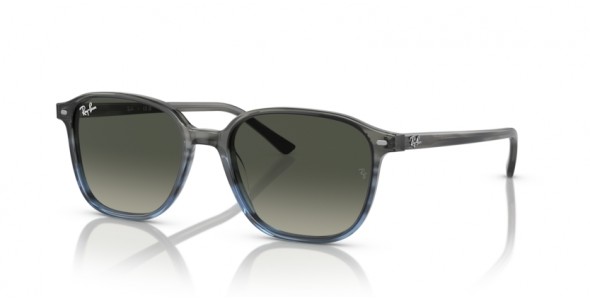 Ray-Ban Leonard RB2193 138171