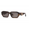 Roberto Cavalli SRC113 0743