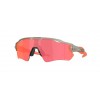 Oakley RADAR EV PATH OO9208 9208F8