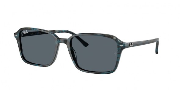 RAY-BAN RAIMOND RB2231 1417R5