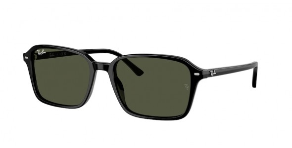 RAY-BAN RAIMOND RB2231 901/31