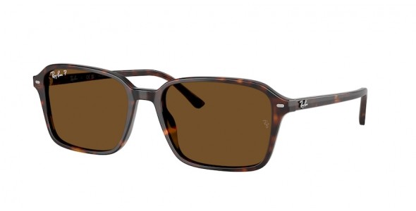 RAY-BAN RAIMOND RB2231 902/57