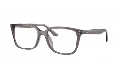 RAY-BAN RX7248D 8257