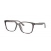 RAY-BAN RX7248D 8257