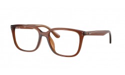 RAY-BAN RX7248D 8409