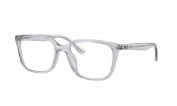 RAY-BAN RX7248D 8411