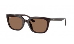 RAY-BAN RB4439D 623173