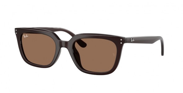 RAY-BAN RB4439D 623173