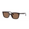 RAY-BAN RB4439D 623173