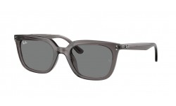 RAY-BAN RB4439D 667587