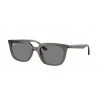 RAY-BAN RB4439D 667587