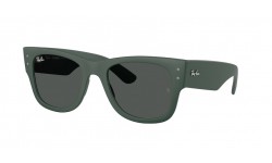 RAY-BAN RB4840S 665787