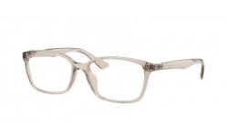 RAY-BAN RX7094D 8271