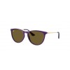 RAY-BAN JUNIOR ERIKA RJ9060S 717973