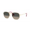 RAY-BAN HEXAGONAL RB3548N 001/71