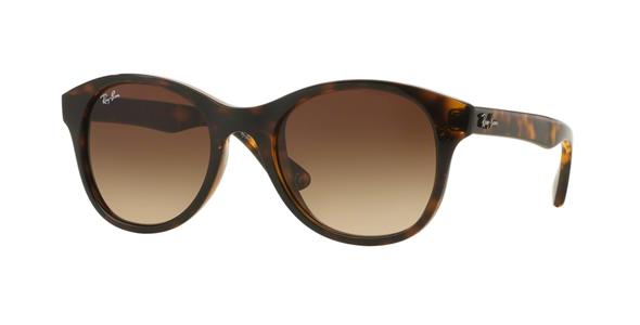 Ray-Ban RB4203 710/13 | Ohgafas.com