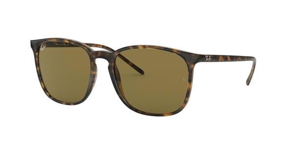 Ray-Ban RB4387 710/73 | Ohgafas.com